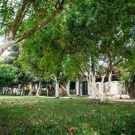 Agriturismo Archelao 奥里斯塔诺 外观 照片
