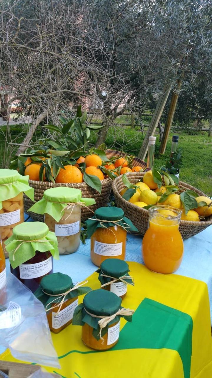 Agriturismo Archelao 奥里斯塔诺 外观 照片